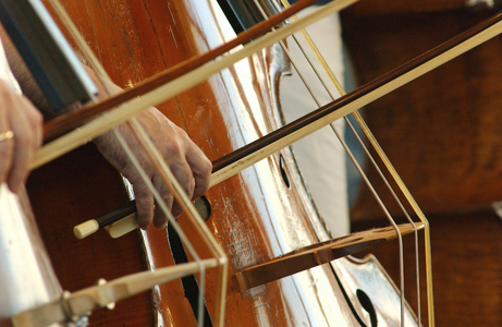 Double bass section