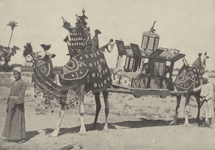 Marriage ceremony in Cairo (b/w photo)