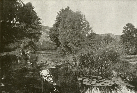 Les Bords du Layon (b/w photo)