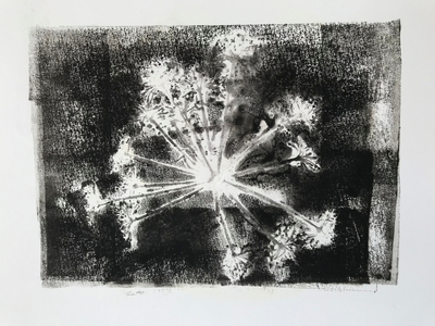Seedhead II, 2020 (monoprint)