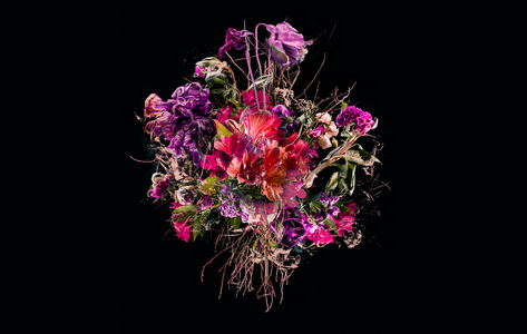 Bouquet VIIII, 2018 (photo)