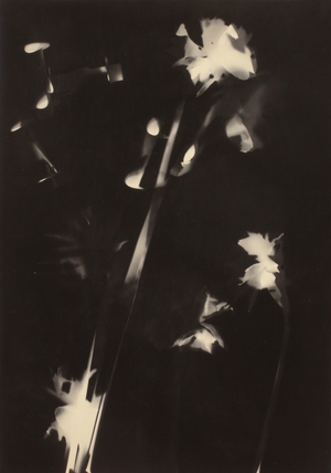 Untitled (gelatin silver print) 
