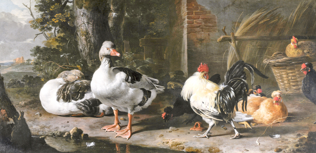 Fowl and geese (oil on canvas)