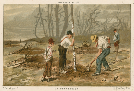 Planting trees (colour litho)