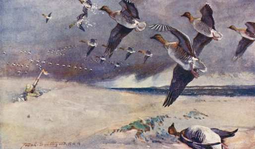 Wild Life in East Anglia: Wild-Goose Shooting (colour litho)