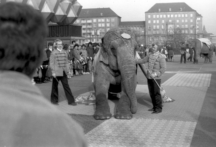 Saxony, historical, Trade, Retail trade, Care, Businesses, department …, 1985 (photo)