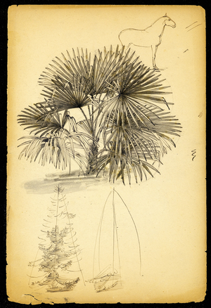 Palmtree and horse (pen & ink on paper)