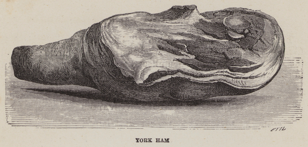 York Ham (engraving)