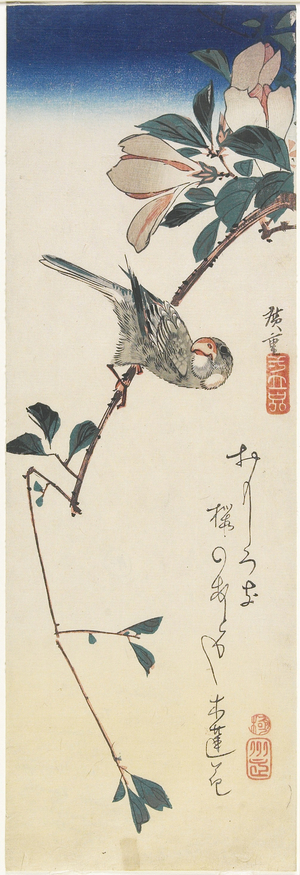Java Sparrow and Magnolia, 1834-1839