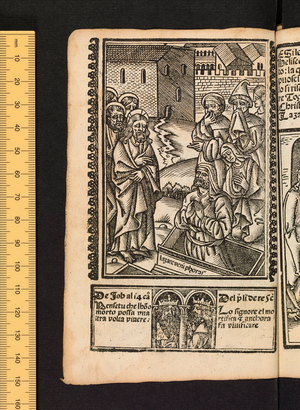 Figures of the Old Testament, c1525-1531 (woodcut)