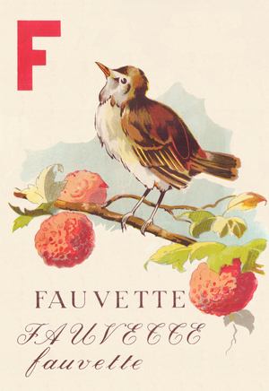 ABC Warbler Birds, 1945 (illustration)