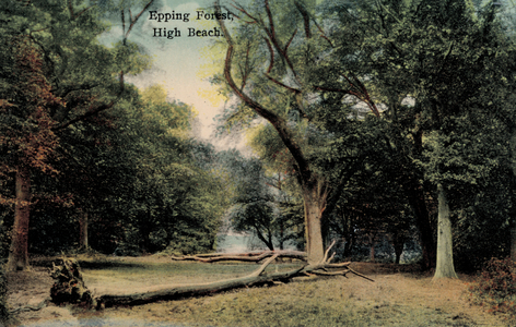 Epping Forest, High Beach (photo)