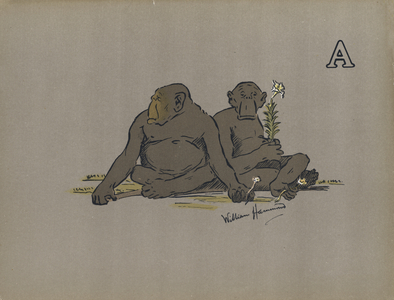Letter A, Aesthetic Anthropoid Apes Adopting Abnormally Apathetic Attitudes (colour litho)