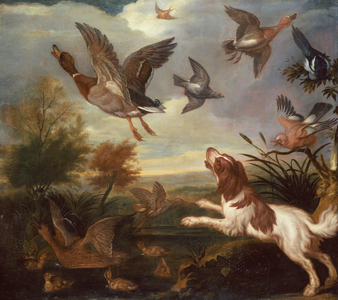 A Spaniel Flushing Mallard (oil on canvas)