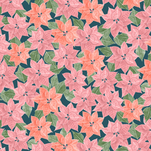 Poinsettia pattern, 2021 (graphite pencil & digital)