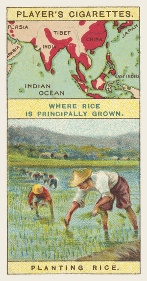 Rice (chromolitho)