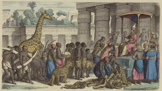 Tribute offerings from Ethiopia being presented to the Pharaoh of Egypt (coloured engraving)