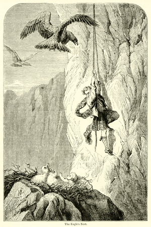 The Eagle's Nest (engraving)