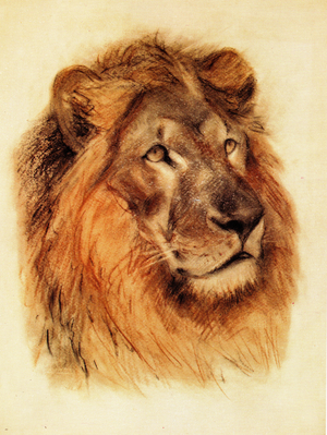Portrait of Lion, 1972 (pastel on paper)