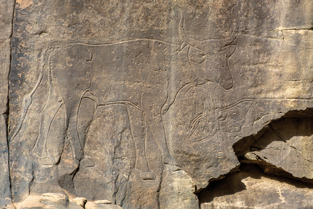 Rock engraving of a cow, Tassili n'Ajjer, Algeria, 2000 (photo)