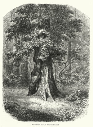 Rousseau's Ivy at Feuillancourt (engraving)