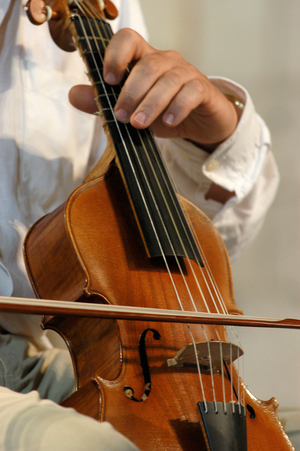 Viola da gamba.