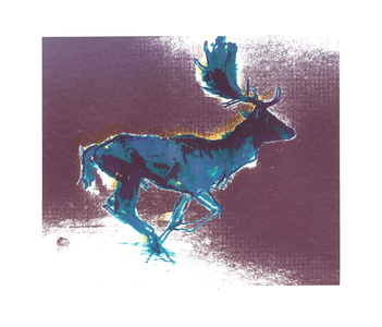 Fallow Buck (blue/yellow shadow), 2015 (screen print)
