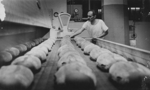 Saxony, historical, Business, Bakery Bread and Pastries GmbH Dresden ..., 1991 (photo)