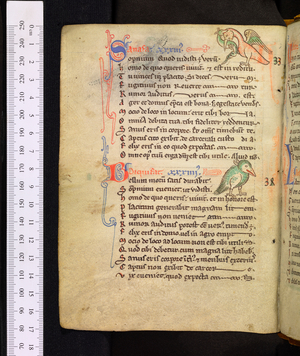 Prenostica Pitagorice consideracionis, c1240-1259 (manuscript)