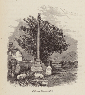 Bitterley Cross, Salop (engraving)