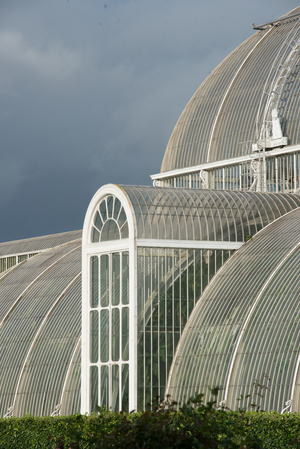 The Palm House, 2013 (photo)