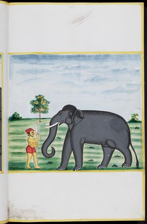Palakapya' s Gajashastra, Elephant lore, 1974-1978 (illumination)