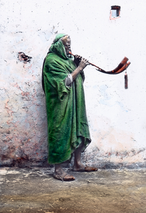 musician