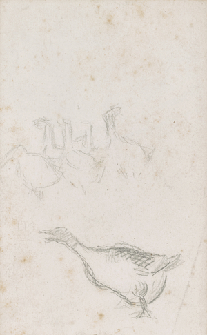 Study of geese, late 1870s (pencil on paper)