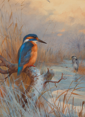 Frozen out- Fishers: Kingfisher and Heron in a winter landscape (pencil, watercolour and bodycolour on paper)