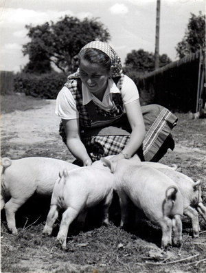 Women of the  National Socialist Women's League,  NS-Frauenschaft