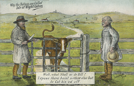 Problem solving: two yokels on the Isle of Wight wondering how to deal with a calf with its head stuck through a farm gate (colour litho)