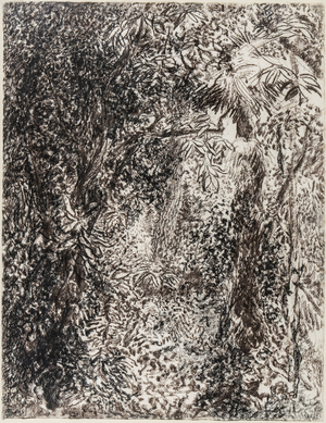 Undergrowth, 1982/83 (black & brown chalk on paper)
