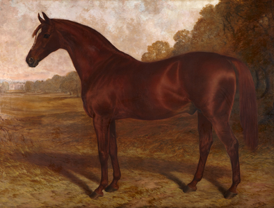 Hermit': a Racehorse in a Landscape