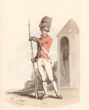 Grenadier of the 1st Regiment of Guards (coloured engraving)