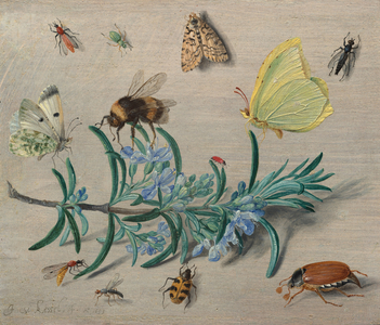 Insects and a Sprig of Rosemary, 1653 (oil on copper)