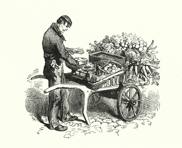 The Costermonger (engraving)
