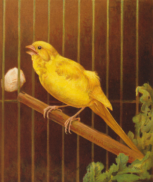 Dickie Bird (colour litho)