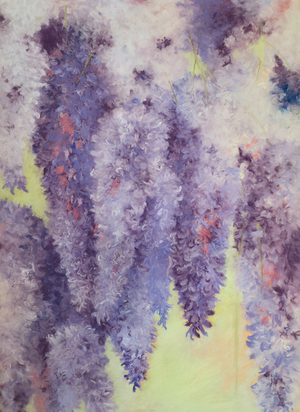 Wisteria flowers, 2023 (pastel on paper)