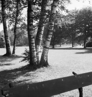 A trip to Bad Rippoldsau Schapbach, Germany 1930s (b/w photo)