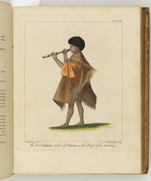 Illustration from 'A journal of a voyage to the South Seas : in His Majesty's ship, the Endeavour', 1794 (hand-coloured engraving)