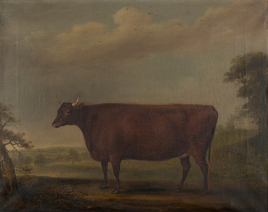 Red Devon Heifers in landscape, c.1812 (oil on canvas)