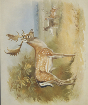Dama dama, fallow deer, Plate 38 from British Mammals Vol. 1 & 2 by Archibald Thorburn, 1920-21 (colour litho)