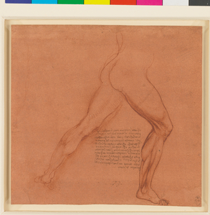 The legs of a male nude, c.1506-8 (red chalk, pen and ink on paper)