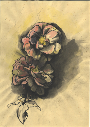 Flower study (pen & ink with w/c on paper)